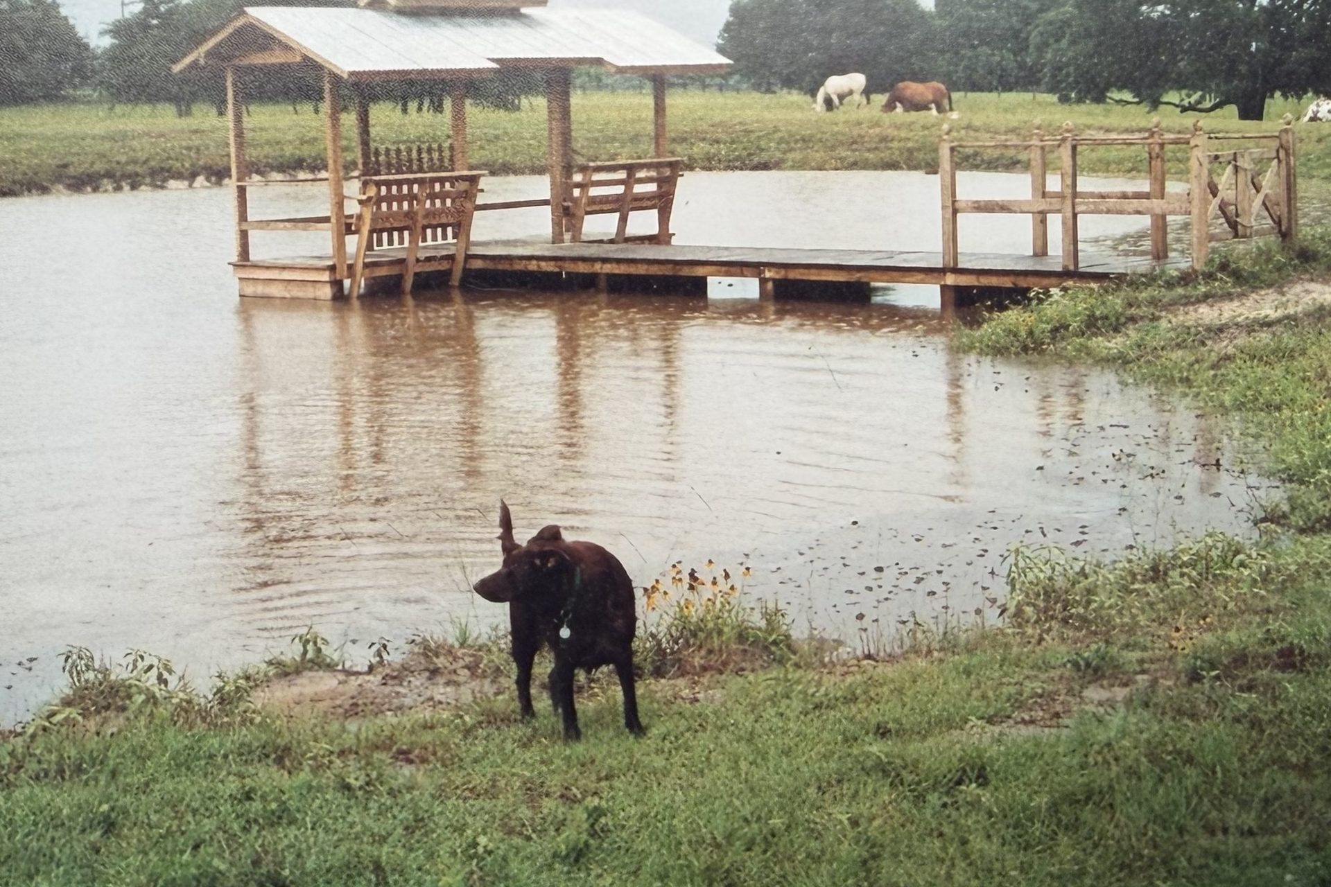 Covered pier on a stock pond, built by Cross Creek