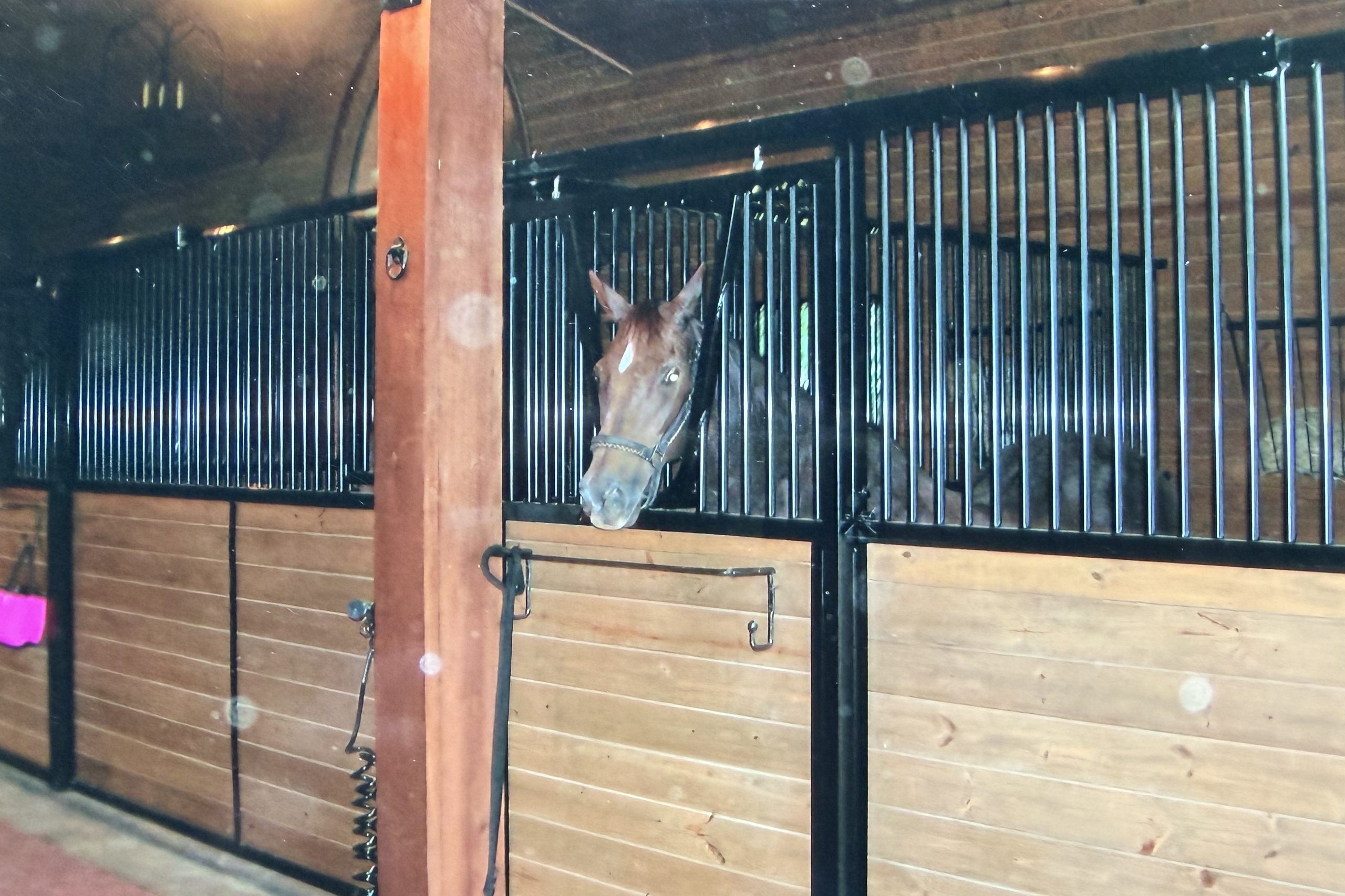 Horse stall front with steel bars and wood planks, built by Cross Creek